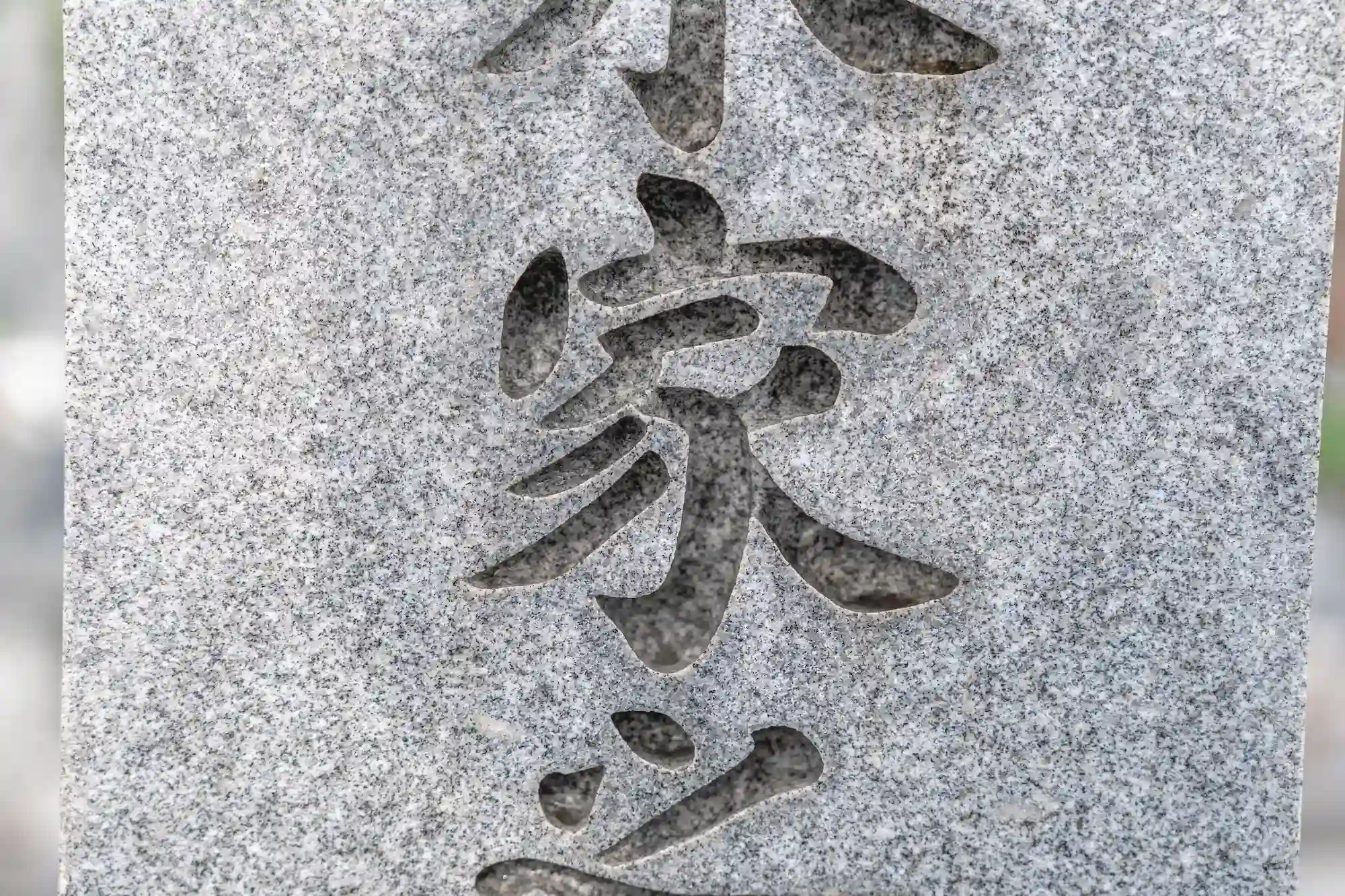 清掃後